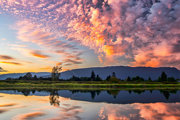 Cécile Vigne Kinésiologue Carcassonne